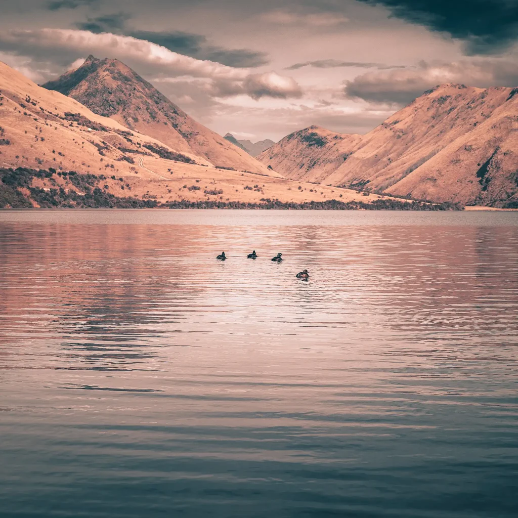Serene Lake Moke in New Zealand with ducks swimming
